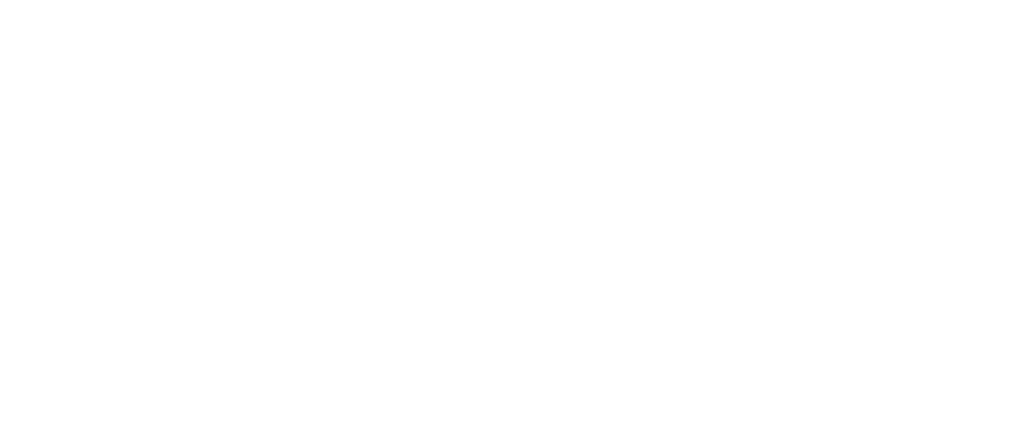 logo zenit